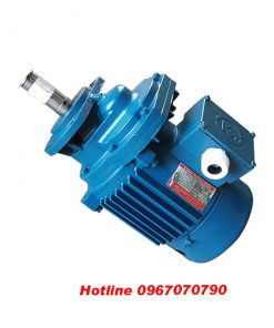 Động cơ giảm tốc 0.75KW x4P KGcranes